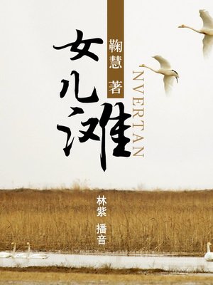 cover image of 女儿滩
